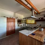 Rent 6 bedroom house of 120 m² in Massa