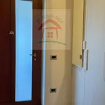 Rent 2 bedroom apartment of 50 m² in Mezzolombardo