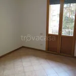 Rent 4 bedroom apartment of 90 m² in Bologna