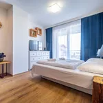 Studio o rozloze 40 m² v Lipno nad Vltavou