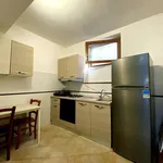 Rent 2 bedroom apartment of 38 m² in Turin