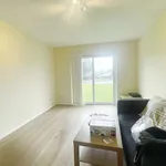 Rent 1 bedroom apartment in Wales