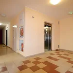 Rent 2 bedroom apartment in Prague