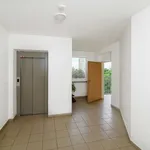 Rent 4 bedroom apartment of 87 m² in Čelákovice