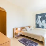 Alugar 4 quarto casa de 300 m² em Funchal