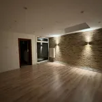 Rent 1 bedroom apartment in Leuven