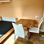 Rent 1 bedroom house in Uherské Hradiště