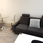 Rent 1 bedroom apartment of 37 m² in Zlín