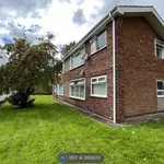 Rent 1 bedroom apartment in North East England