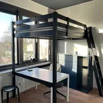 Studio of 20 m² in Binnenstad-Zuid