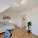 Rent 1 bedroom apartment of 50 m² in Dusseldorf