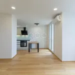 Rent 1 bedroom apartment of 44 m² in Praha