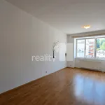 Pronájem bytu 1+1 43m²