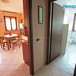 Rent 1 bedroom apartment of 30 m² in Novara