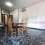 Rent 1 bedroom apartment of 150 m² in verona