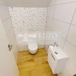 Pronajměte si 1 ložnic/e dům o rozloze 173 m² v Příbram