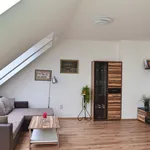 Pronajměte si 2 ložnic/e byt o rozloze 85 m² v Brno