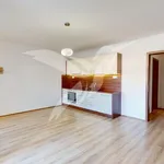 Pronajměte si 1 ložnic/e byt o rozloze 48 m² v Pilsen