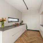 Rent 2 bedroom house of 170 m² in Delft