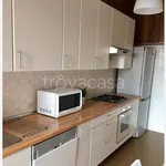 Rent 4 bedroom apartment of 115 m² in Castellanza