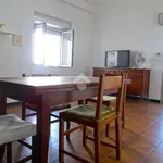 Rent 2 bedroom apartment of 60 m² in Alessandria