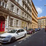 Rent 1 bedroom apartment of 43 m² in Prague