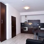 Rent 2 bedroom apartment of 45 m² in Brno