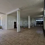 Affitto 4 camera appartamento di 140 m² in Somma Vesuviana