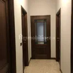 Rent 1 bedroom apartment of 19 m² in Alba