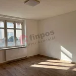 Rent 1 bedroom apartment in Benešov