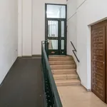 Rent 7 bedroom apartment in Madrid