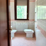 Rent 4 bedroom apartment of 95 m² in Treviso