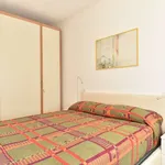 Rent 1 bedroom apartment of 40 m² in rome