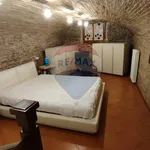 Rent 2 bedroom apartment of 75 m² in Mantua