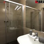 Rent 1 bedroom apartment of 31 m² in Brno