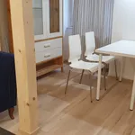 Rent 2 bedroom apartment of 46 m² in Prague