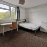 Rent 5 bedroom flat in Wales