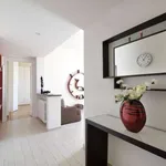 Rent 1 bedroom apartment in milan