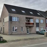 Flat to rent : Bredestraat 84A 2, 2580 Putte on Realo