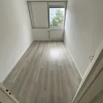 Miete 3 Schlafzimmer haus von 75 m² in Kreuztal