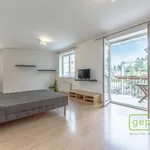 Rent 1 bedroom apartment in Praha - východ