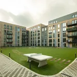 Rent 2 bedroom apartment in Watford