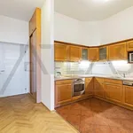 Pronajměte si 2 ložnic/e byt o rozloze 89 m² v Prague