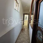 Rent 3 bedroom apartment of 100 m² in Misterbianco