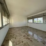 Affitto 5 camera appartamento di 140 m² in Palermo