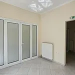 Rent 1 bedroom apartment of 110 m² in M unicipal Unit of Makrakomi