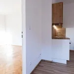 Rent 1 bedroom apartment of 48 m² in Prague