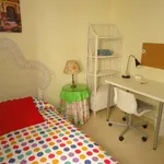 Rent a room in cordoba