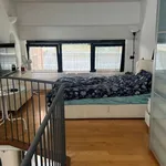 Rent 1 bedroom apartment in milan