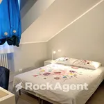 Rent 2 bedroom apartment of 33 m² in Turin